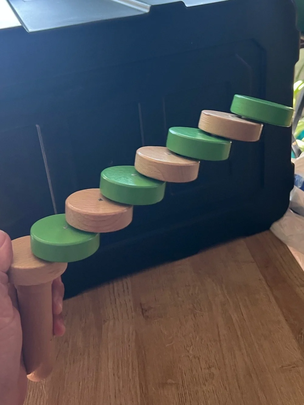 TrueBalance Wooden Stacker Toy in Green – Handheld Ring Trainer